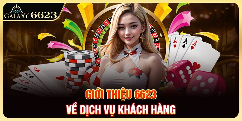 gioi-thieu-6623-ve-dich-vu-khach-hang