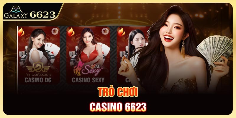 tro-choi-casino-6623-anh-dai-dien